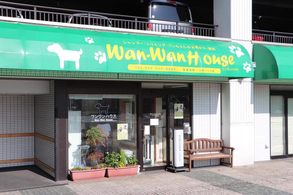 Dog Grooming, Yokohama, Japan
