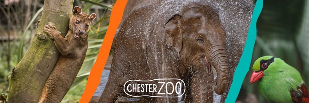 Chester Zoo
