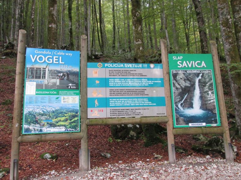 Mount Vogel & Savica Waterfalls