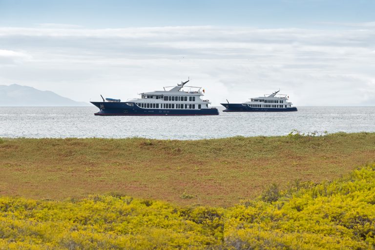Theory, Galapagos, Ecoventura