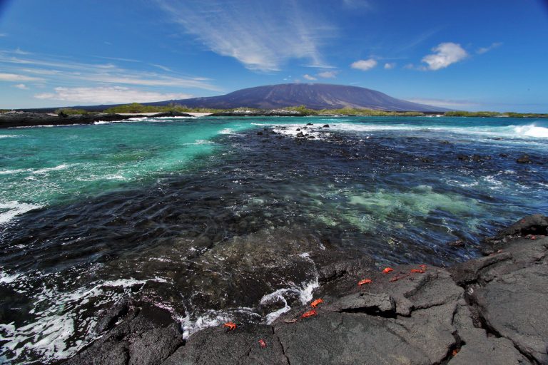 Fernandina-Island, Galapagos