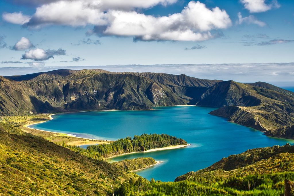 Whale Watching, Nature, The Azores