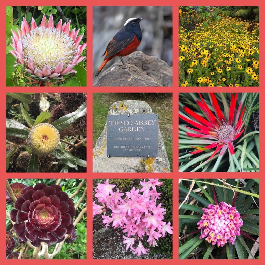 Abbey Gardens, Scilly Islands