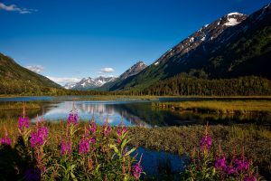 Alaska Travel Blog USA