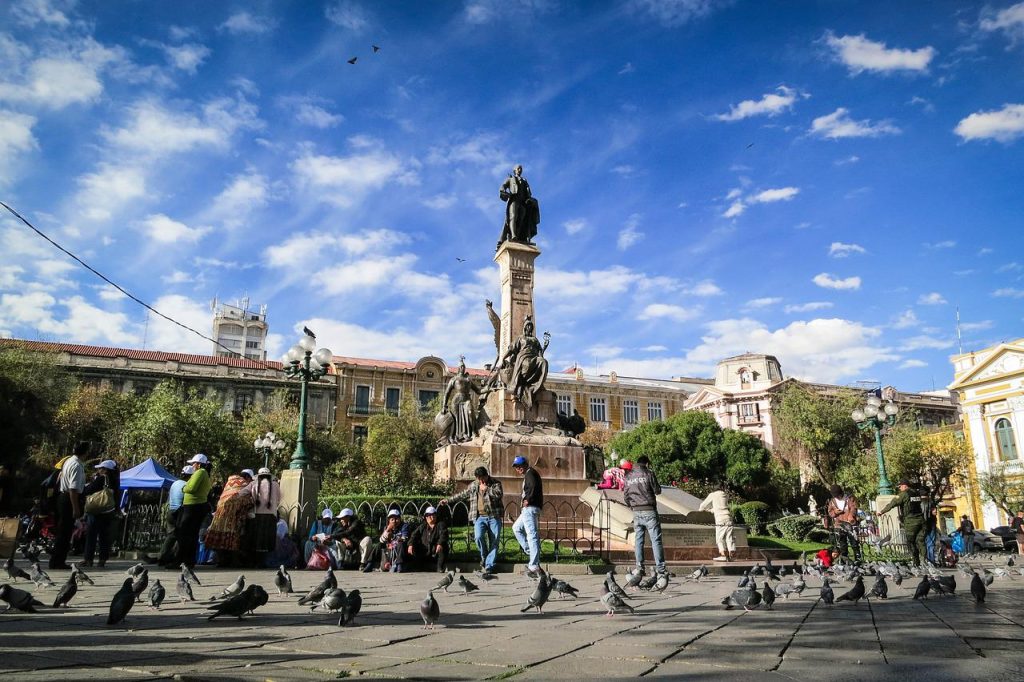 Zebras of La Paz, Bolivia