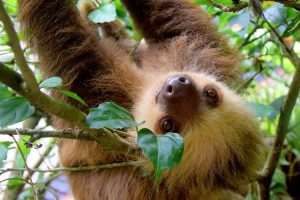 Costa Rica Travel Blog