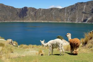 Ecuador Travel Blog