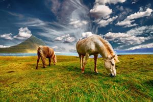 Iceland Travel Blog