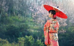 Japan Travel Blog
