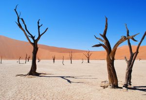 Namibia Travel Blog