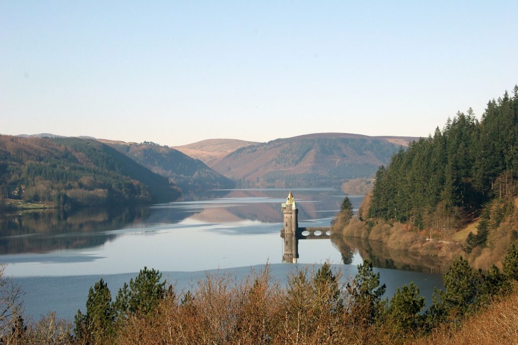 Free Trees Wales
