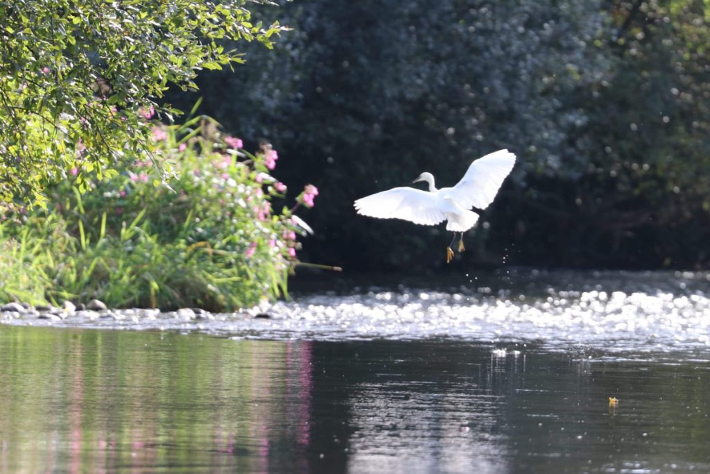 Otterton Mill, The East Devon Coast Revisited
