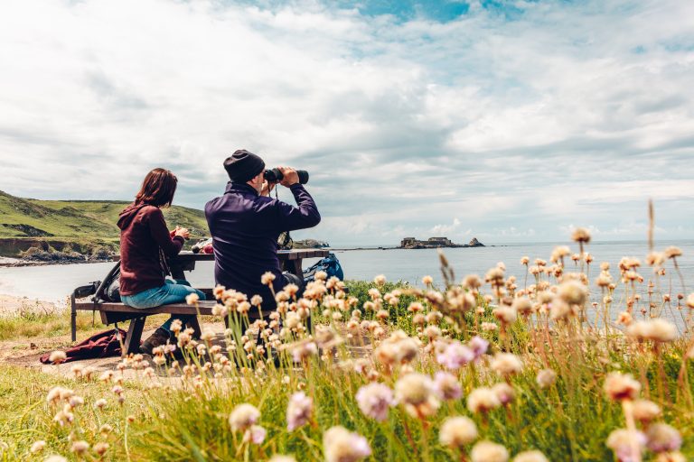 Wild About Alderney - Birdwatching