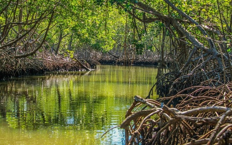 Los Haitises National Park