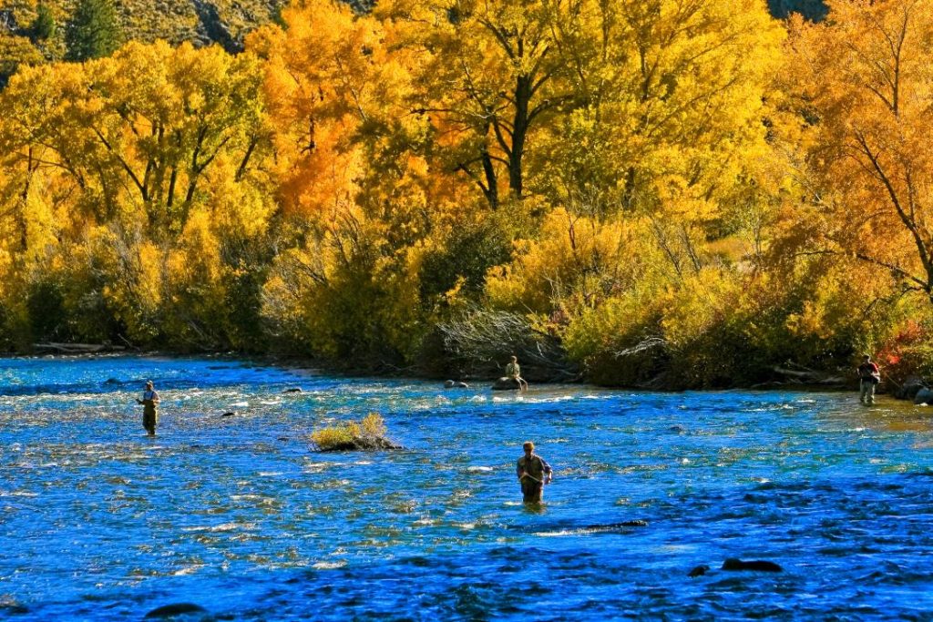 Fly-Fishing-for-trout-near-Gunnison