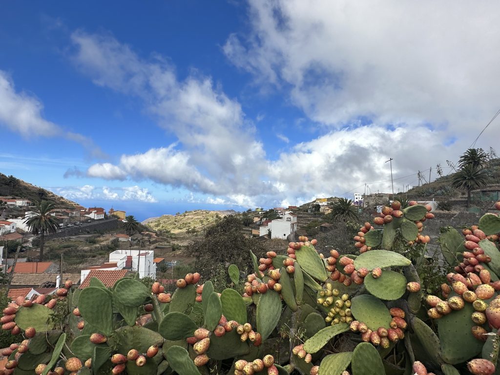 El-Cercada