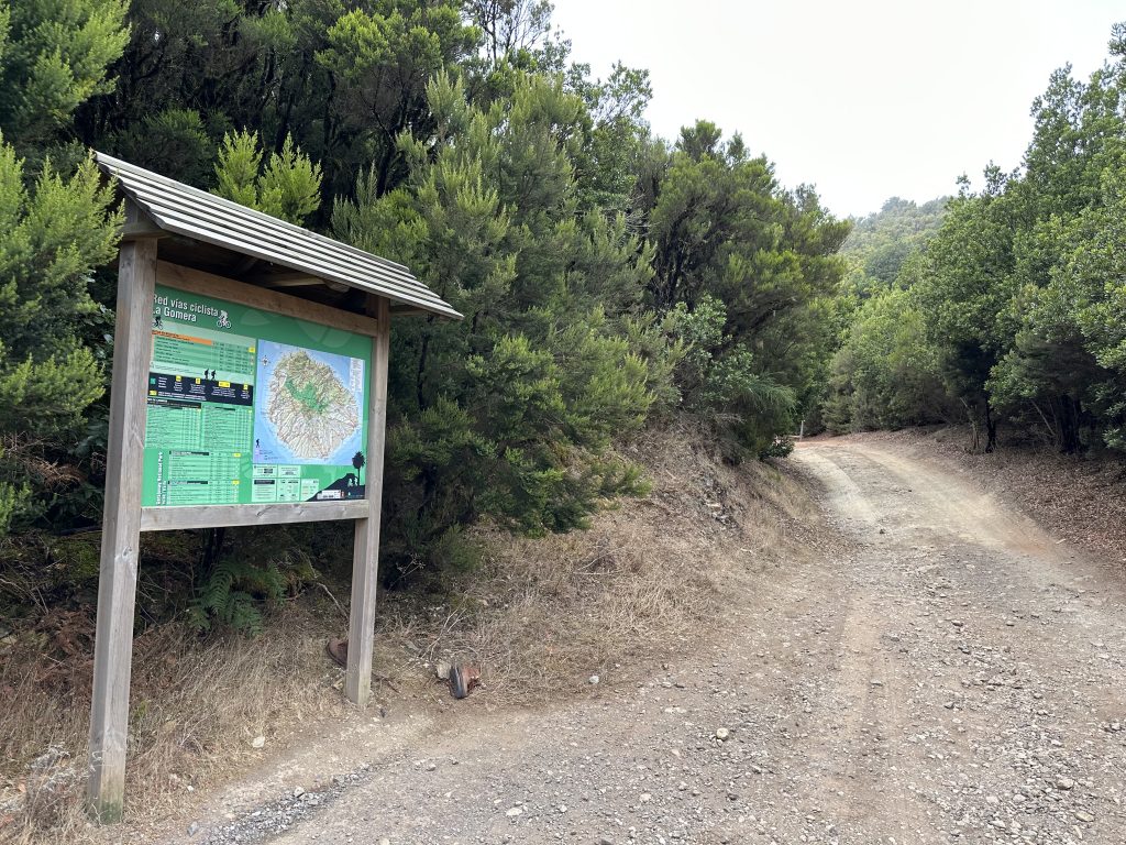 Garajonay-National-Park-La-Gomera