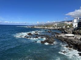Puerto De La Cruz, The Authentic Tenerife
