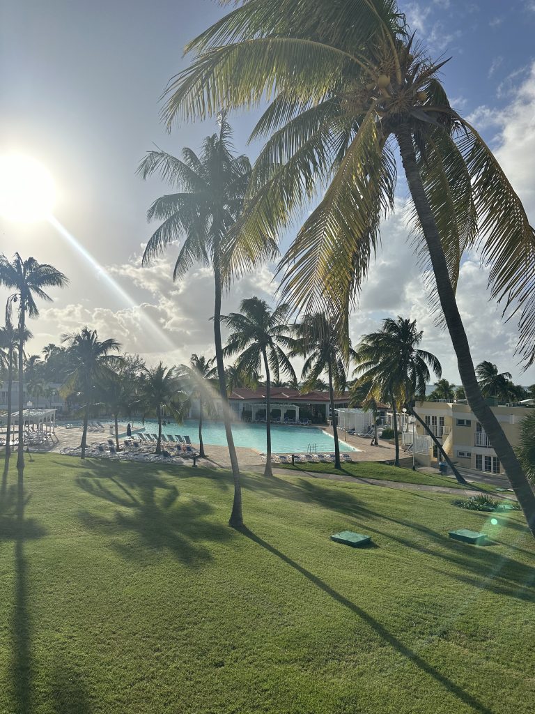 Hotel-Los-Cactus-Pool