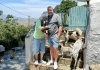 Animal Magic in Andros Andros Animal Shelter Sandy Piglet and Rupert
