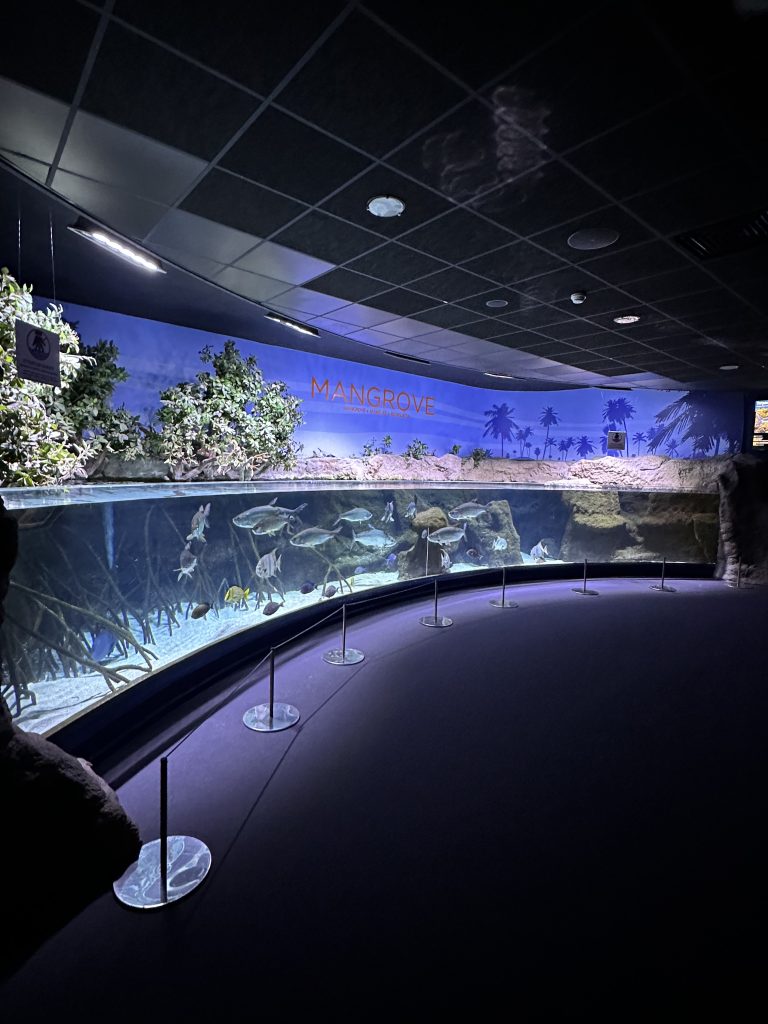 Aquarium Biarritz