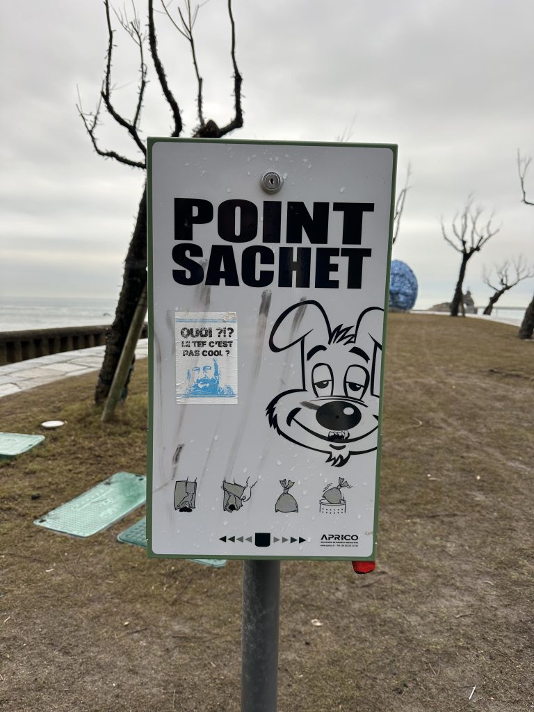 Beach Clean
