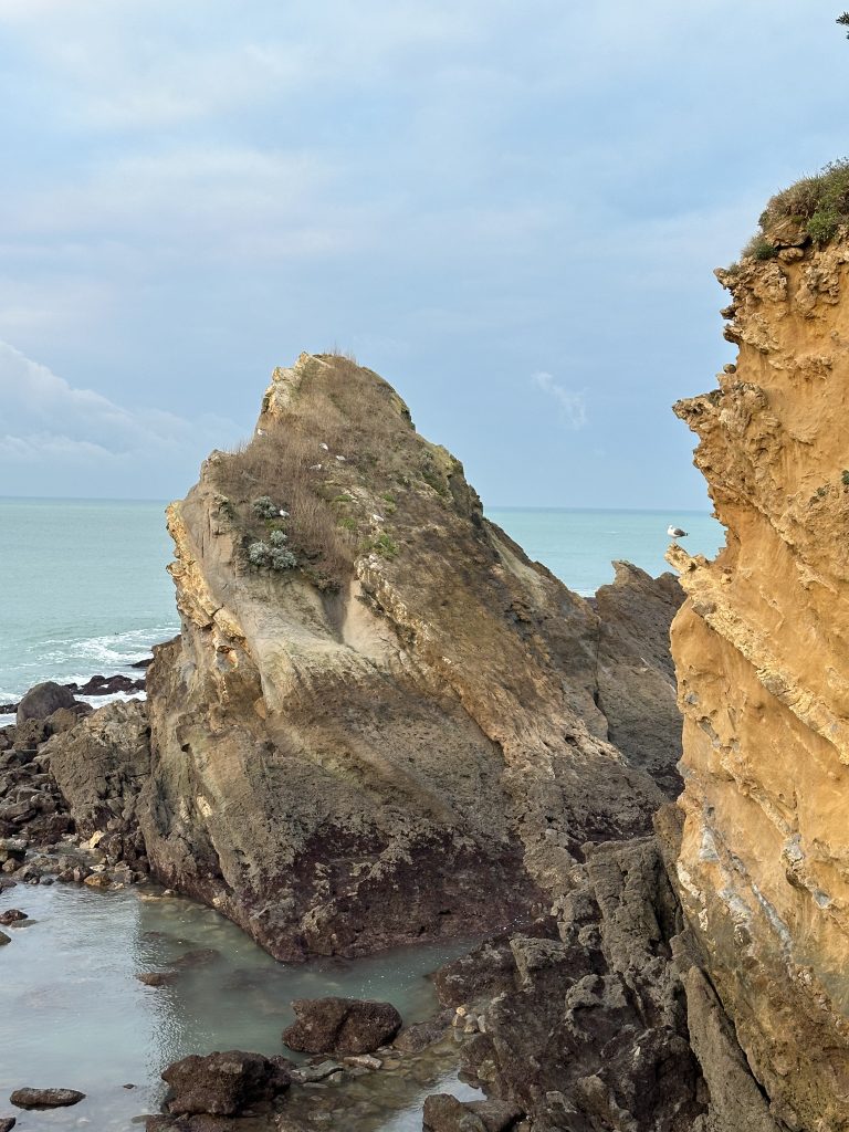 Coast near Villa Belza