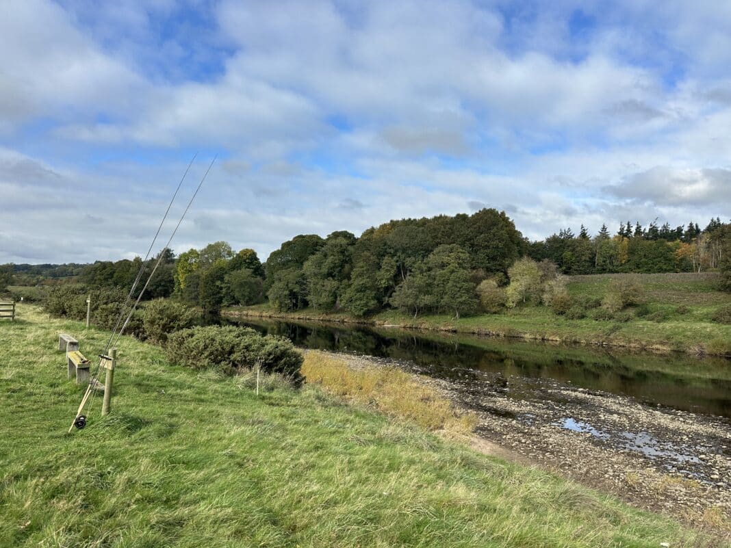 The River Tyne, Hexham