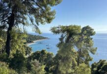 The Best Beaches on Skopelos Island Milia Beach, Skopelos