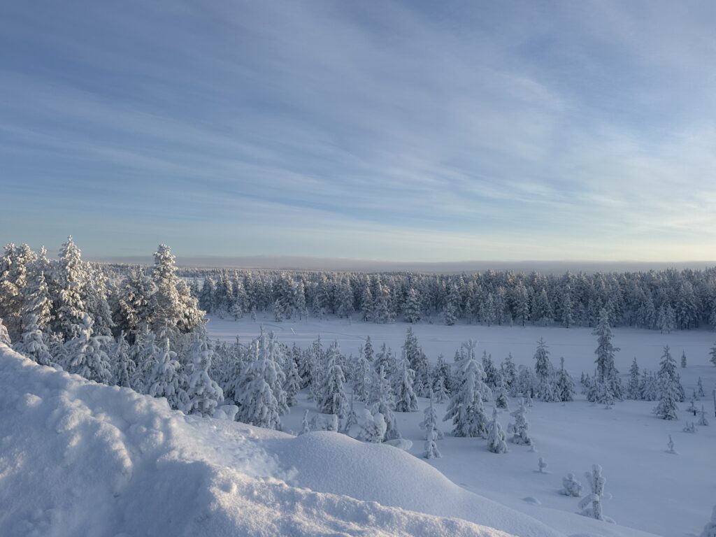 Snowy Lapland Scene